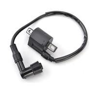 Bobina Encendido Conjunto Bobina Encendido para TW200 TW200E TW125 TTR90 TTR110 TTR125 TTR125E TTR125L 3305-222 3305223 Bobinas Encendido
