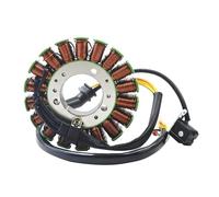 Bobina Encendido Conjunto Bobina Estator Generador Motocicleta Para Daytona 675 ABS 675R Para Speed Street Triple R 675 675 Bobina Encendido Estator