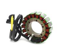 Bobina Encendido estator Bobina de estator de Encendido del generador de Motocicleta para BMW F650GS F800R F800S F800GS F800ST F800GT F700GS .12318524422 12317690427 Bobina del Estator