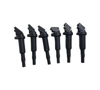 Bobina Encendido For 325i 335i 328i 525i 530i 330i 650i For X5 For X6 For M3 ForZ4 0221504470 12138616153 12137594937 12138657273 Ignition Coils Bujía(6Piece)