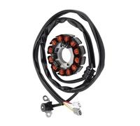 Bobina Encendido Moto Compatible Con Yamaha Para WR250F 2004 2005 2006 2007 2008 2009 Estator De Motor De Motocicleta OEM 5UM-81410-09-00 5UM-81410-31-00
