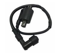 Bobina Encendido Motocicleta Bobina De Encendido Para Lexmoto Hunter 50 TD50Q ET4 Assault 125 HJ125-J XTRS SJ125-24 XTR 125CC
