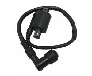 Bobina Encendido Motocicleta Bobina De Encendido Para Lexmoto Hunter 50 TD50Q ET4 Assault 125 HJ125-J XTRS SJ125-24 XTR 125CC