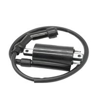 Bobina Encendido Motocicleta Para KYMCO DINK250 MXU250 Para Grand Dink 250 MXU300 MONGOOSE300 MXU700i YUP50 Win 250 Bobina Encendido 3051A-KHE7-900