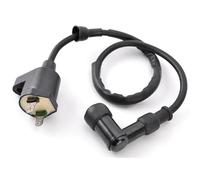Bobina Encendido Motocicleta para Kymco para Agility 50 para Like 125 2008 2009 2010 2011 2012 2013 2014 2015 Bobina Encendido Generador Motocicleta 3051A-KHC4-900 Bobinas Ignición