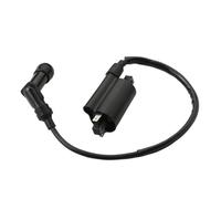 Bobina Encendido Motocicleta Para Kymco Para Ego Para KXR250 Para Maxxer 250 Para Mongoose Para MXU250 Bobina Encendido 3051A-KHE7-900
