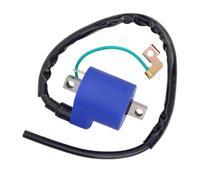 Bobina Encendido Motor para Hyosung GT250 GV250 GT250R GV125 GT125 GT125R GV 250 125 2003-2010 33410HG5100 Motocicleta Bobina Encendido Alta Presión