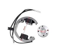 Bobina Encendido Para Minimoto 50 Cc, Accesorios Para Pit Bike Para 50 SX Eléctrica Encendido Rotor Interno, Estator, Magneto Gy6. Interruptores encendido Reemplazo