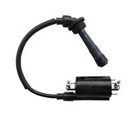 Bobina Encendido Para Motocicleta Para Benelli BJ250-15 BJ250-15A BN251 BN250 TNT25 TNT250/BN TNT 25 250 251 Conjunto Bobina Con Cable Y Enchufe Motocicleta Bobina Encendido Modificada