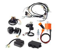 Bobina Encendido Para Warrior Para YFM 350 X 1997-2001 Arnés Cableado Bobina Encendido Interruptor Manillar Izquierdo Encendedor CDI Relé Rectificador Kit Completo Pack Cables Bujía