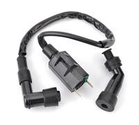 Bobina Encendido Sistema Conjunto Bobina Encendido Para Suzuki LT80 LT230 LT-F250 QuadSport 80 230 250 2WD LTF230 33410-18A00 33410-22A00 33410-22AV0 DR125 DR200