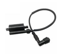 Bobina Encendido Y Unidad Encendido Para Suzuki GS125 GN125 GT125 EN125 Motocicleta Accesorio Bobina Encendido