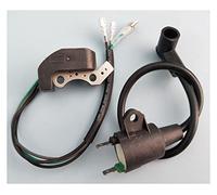 Bobina Estator 2 Unids/Set con Encendedor De Bobina De Encendido Magneto para Generador Tiger 450W 650W 800W 950W 1000W 2 Tiempos ET950 ET650 IE45F TG950 Motocicleta Generador Bobina