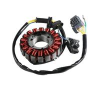 Bobina Estator Bobina De Encendido Del Generador Estator La Motocicleta Para Adly ATV 300U II 300XS Para Asalto 300 Para Huracán 400 OEM: Piezas 31120-169-001