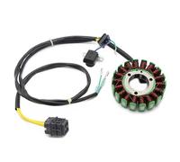 Bobina Estator Bobina De Estátor Magnético Para Acceso A Para Tomahawk 300 400 AMX 3,20 4,30 SX SM Para Triton ATV Para Outback 31120-E10-000/101