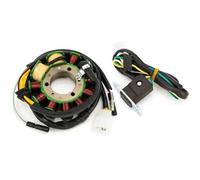 Bobina Estator Bobina De Estator Para CB125T CB125TP 82-93 CBF1000 SC58 2006-2010 CMX250X CMX250 Para Rebel CB250 Para Nighthawk CB 250 Para Dos Cincuenta