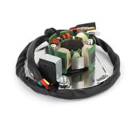 Bobina estator Bobina del Estator del Generador De Magneto para Off-Road 125 Six Days LE EGS 6KW SXS 200 GS 8kW EGS 12LT Todoterreno