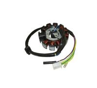 Bobina Estator Comp Magneto de estator encendido 11 bobinas para ciclomotor GY6 125cc 150cc para ATV