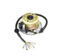 Bobina Estator Comp Rotor de estator magnético motocicleta alta velocidad sin luz para W150 155cc para motor KAYO para SDG SSR Dirt Pit Bike