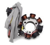 Bobina Estator Compatible Con Para KLF185 Para Bayou 185 1985 1986 1987 1988 Reemplazo De Accesorios De Bobina De Estator Magnético Para Motocicleta 21003-1134 21003-1135