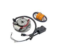 Bobina Estator Eléctrica Para Suzuki RM 80 85 85L RM80 RM85 RM85L Dirt Pit Bike MX Motocross Motocicleta Bobina Encendido Rotor Estator Magneto CDI Box Set Estator Magneto