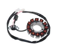 Bobina Estator Generador Motocicleta Comp Para MWD300 Para Tricity Para CZD300 Para Evolis 300 Para CZD250 Para X-MAX ABS Estator Bobina