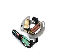 Bobina Estator Magnético Para Generador Motor Motocicleta Para YFS200 Para YFS 200 Para Blaster 2003 2004 2005 2006 2007 Bobina Encendido