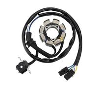 Bobina Estator Magneto Bobina Del Estator De Piezas Motocicleta Para CRF250 CRF250X 2004-2009 2012 2013 2015 2016 2017
