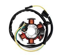 Bobina Estator Magneto Conjunto Bobina Estator Y Generador Para Motocicleta Para RS50, RX50, MX50, DT50 R, AM6, TZR50, Para Peugeot XP6, Road Passion