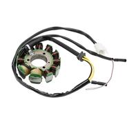 Bobina Estator Magneto Para Explorer Rex Kreidler Barossa 250 ATV Quad Generador Estator 35560-CBT-00