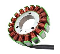 Bobina Estator Moto 400NK 650NK 650 NK TT ABS 650GT 650MT 650TK Para Cf 700 Para CL-X Para CLX700 Sport Para A&DVENTURE 0700-032000-10000 Estator Bobina