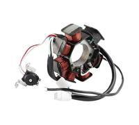 Bobina estator Motocicleta Bobina De Encendido De Motocicleta, Estator, Magneto, Alternador, Estator, 7 Bobinas para YBR125 2004, YBR125E 2006, YBR125EGS 2010, Aire Acondicionado