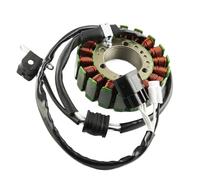 Bobina estator Motocicleta Bobina del Estator del Magneto del Generador De Motocicleta para RS Rage Vector ER Mountain 8GC-81410-00 8GC-81410-10 Conjunto del Estator
