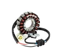 Bobina estator Motocicleta Bobina del Estator del Magneto del Generador para FM250, YFM660, 660R, 660, Big Bear 250, YFM660RP, YFM250XR, 25XS, 5LP-81410-01-00 ATV