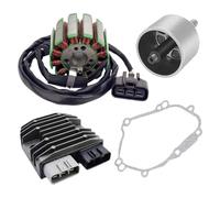 Bobina estator Motocicleta Juego De Bobina De Estator Magnético para YZF R1 2004-2008 FZ1 2006-2014 FZ8 FZ8-N para Fazer 800 2011-2013 2D1-81410-01-00 5VY-81450-00-00