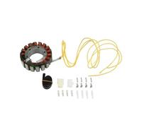 Bobina estator Motocicleta Kit De Estator De Bobina Magneto para VT1100 para Shadow (1995-2007, 1996, 1997, 1998, 1999, 2000, 2001, 2002, 2003, 2004, 2005, 2006)