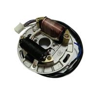 Bobina estator Motocicleta Kit De Rotor Interior para Motocicleta Scooter AX100, Estator De Encendido, Bobina Magneto con Placa para 2 Tiempos, 100 CC, AX 100 En 2 Polos