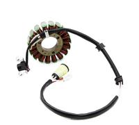 Bobina Estator para 4D3-81410-00 para YFM250R para Raptor 250 para YFM250 para Raptor 250 Edición Especial 2 Bobina Estator Magnético Motocicleta Estator Motocicleta