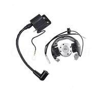 Bobina Estator para 50 SX Eléctrico Y Encendido Rotor Interno Estator Magneto Gy6 Motocicleta 50cc Bobina De Encendido Pit Bike Accesorios