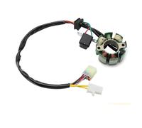 Bobina Estator Para 8000A1430 8000A4266 TE250 TE450 Para SM400R Para SM510R TC250 TE450 TE250Motorcycle Generador Magneto Estator Bobina