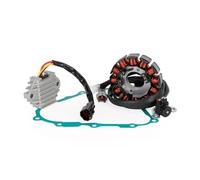 Bobina Estator para GasGas para EC 125 200 250 300 para Racing E-Start EC200 EC250 EC300 2005-2011 EC125 2005-2006 ME250534005 Bobina Estator