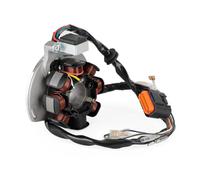 Bobina Estator para ME250534005 para GASGAS EC300 EC250 EC200 EC125 2005-2006 2007 2008 2009 2010 2011 Piezas Repuesto Conjunto Estator Encendido