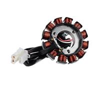 Bobina Estator Para Motocicleta Para X Max Para XMAX 250 300 Para CZD300 Para CZD250 Para Evolis ABS Para MWD300 Estator Bobina