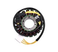 Bobina Estatórica Compatible Con VFR800 Para VTEC ABS 2005 2006 2007 2008 2009 2010 2011 2012 2013 Reemplazo De Cables De Bobina Y Estator De Magneto Para Motocicleta 31120-MCW-D02