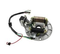 Bobina Estators para 110cc 90cc 70cc 125cc 50cc XR50 para SDG para SSR 110 107 125 CC Dirt Bike para ATV Go Kart Bobina Placa Magneto Estator Encendido Magnético Encendido Estator