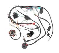 Bobina Estators para 50cc 90cc 70cc 125cc 110cc Arnés Cableado Eléctrico Completo Telar Bobina CDI ATV Quad Pit Bike Buggy Go Kart Motocicleta Magnético Encendido Estator