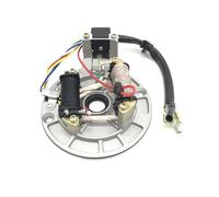 Bobina Estators para Lifan 125cc para YX 160cc 150cc para Pit para Pro para Trail para ATV Dirt Bike Motocicleta Magneto Estator Accesorios Placa Magnético Encendido Estator