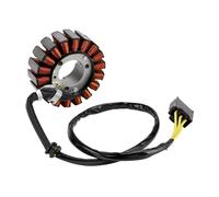 Bobina Estators para Ps250 para PS 250 para Mf-09 para Big para Ruckus 2004 2005 2006 Reempzo Bobina Estator Magneto Duraro para Motocicleta Alta Resistencia Estator Generador