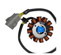 Bobina Estators para ZONGSHEN 450CC 250C para Motor NC450 NC250 para KAYO T6 Magneto Generador Bobina Estator Conjunto Kit Piezas Motocross Magnético Encendido Estator