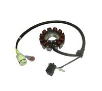 Bobina Estators para ZongShen NC450 NC250 450cc 250cc Alto Rendimiento 12 Bobinas Magneto Estator Dirt Bike Motor Accesorios De Motocicleta Magnético Encendido Estator